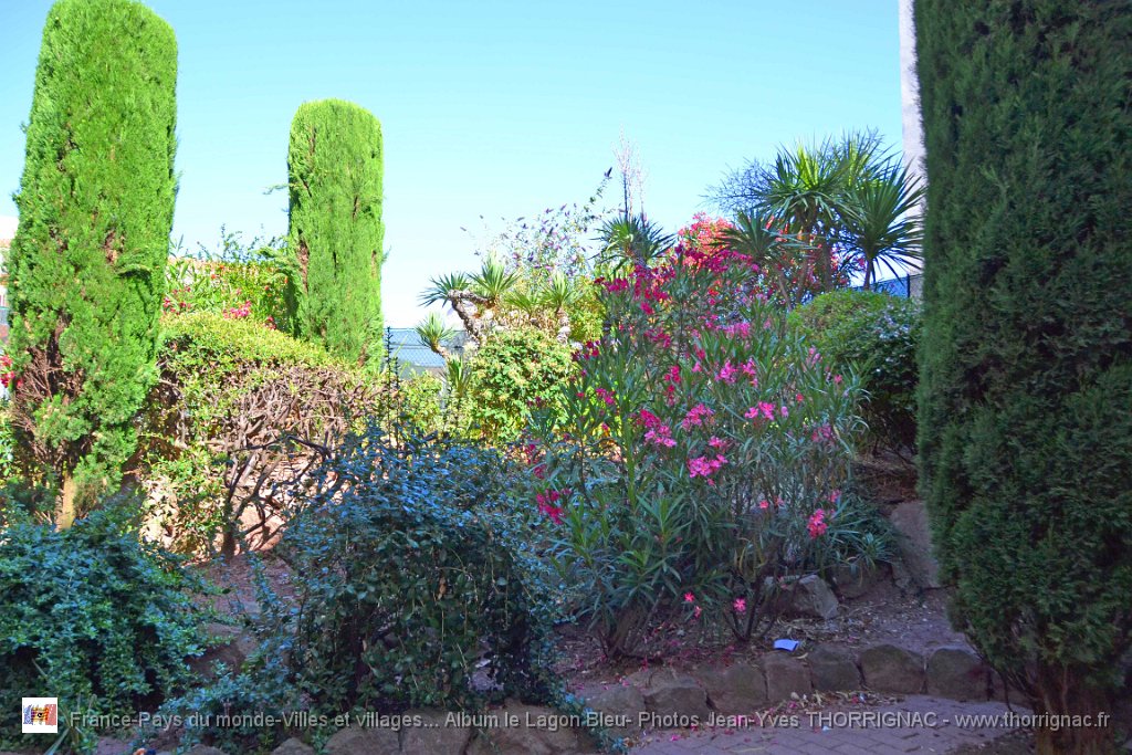 DSC0062.JPG - La flore du lagon Bleu - 23 juin 2015