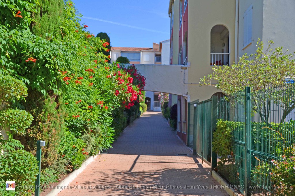 DSC0073.JPG - Allée de l'entrée principale, au fond, le bâtiment les Philippines  et à droite le loge des gardiens - 23 juin 2015