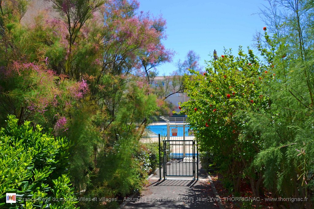 DSC0117.JPG - Entrée piscine côté Ouest - 23 juin 2015