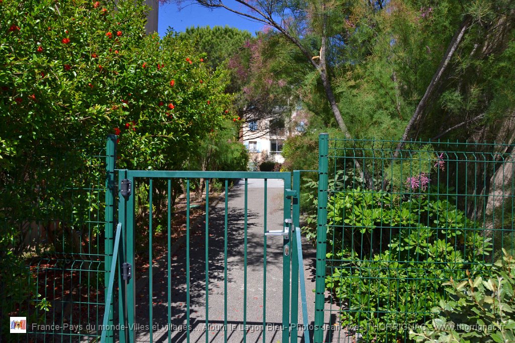 DSC0122.JPG - Entrée sécurisée de la piscine côté Ouest - 23 juin 2015