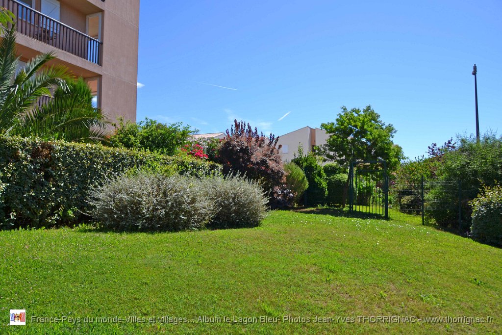 DSC0125.JPG - Flore du Lagon Bleu, à gauche, le bâtiment le Hawaï - 23 juin 2015
