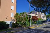 DSC0006