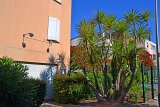DSC0007