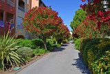 DSC0009