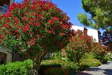 DSC0018