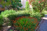 DSC0019