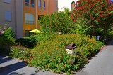 DSC0020