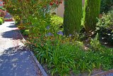 DSC0022