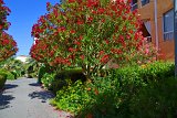 DSC0024