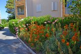 DSC0045