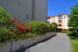 DSC0047