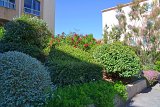 DSC0053