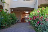 DSC0054