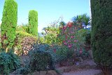 DSC0062