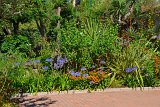 DSC0066