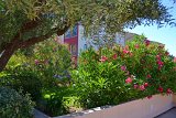 DSC0068