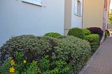 DSC0069
