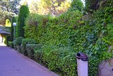 DSC0070