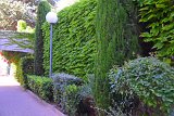 DSC0072