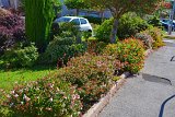 DSC0077