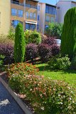 DSC0078