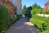 DSC0081