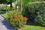 DSC0089