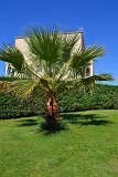 DSC0090