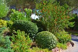 DSC0095