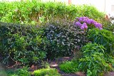 DSC0099