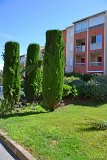 DSC0103