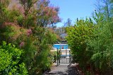DSC0117