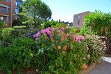 DSC0129