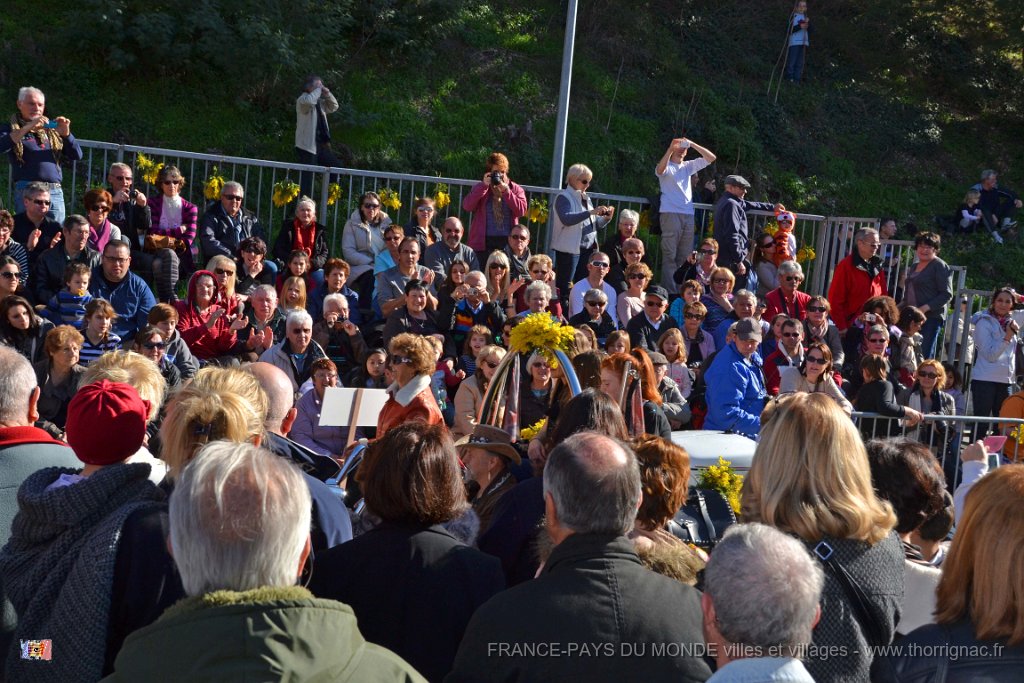 Agay 23 fevrier 2014 18.jpg - Agay - Fête de la fleur - 23 février 2014