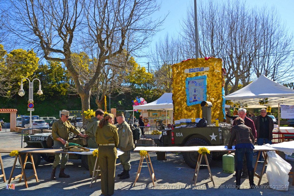 Agay 23 fevrier 2014 2.jpg - Agay - Fête de la fleur - 23 février 2014