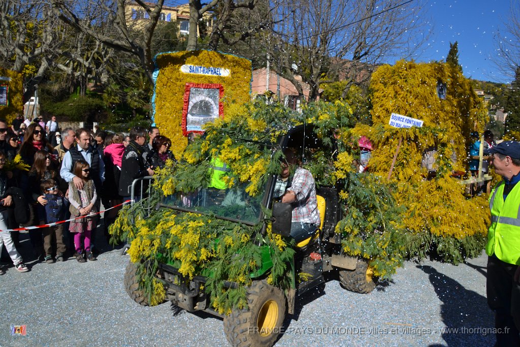Agay 23 fevrier 2014 30.JPG - Agay - Fête de la fleur - 23 février 2014