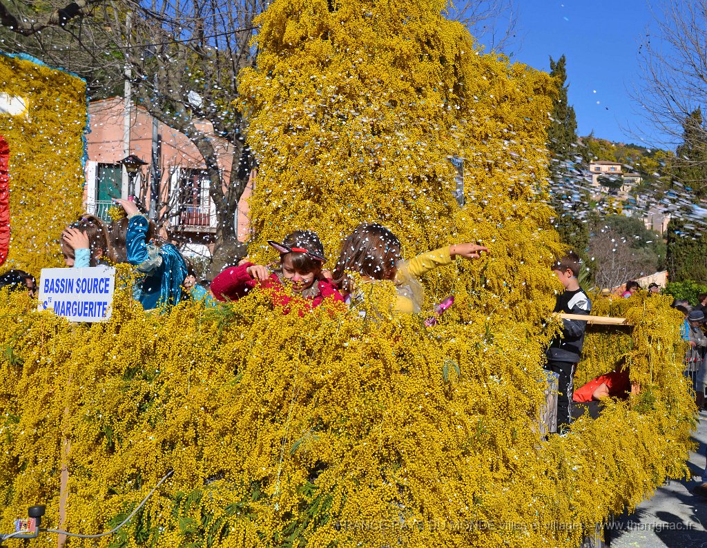 Agay 23 fevrier 2014 40.jpg - Agay - Fête de la fleur - 23 février 2014