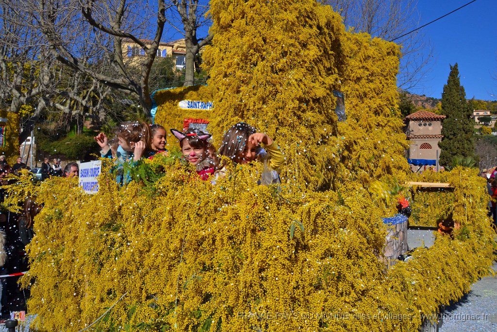 Agay 23 fevrier 2014 41.jpg - Agay - Fête de la fleur - 23 février 2014