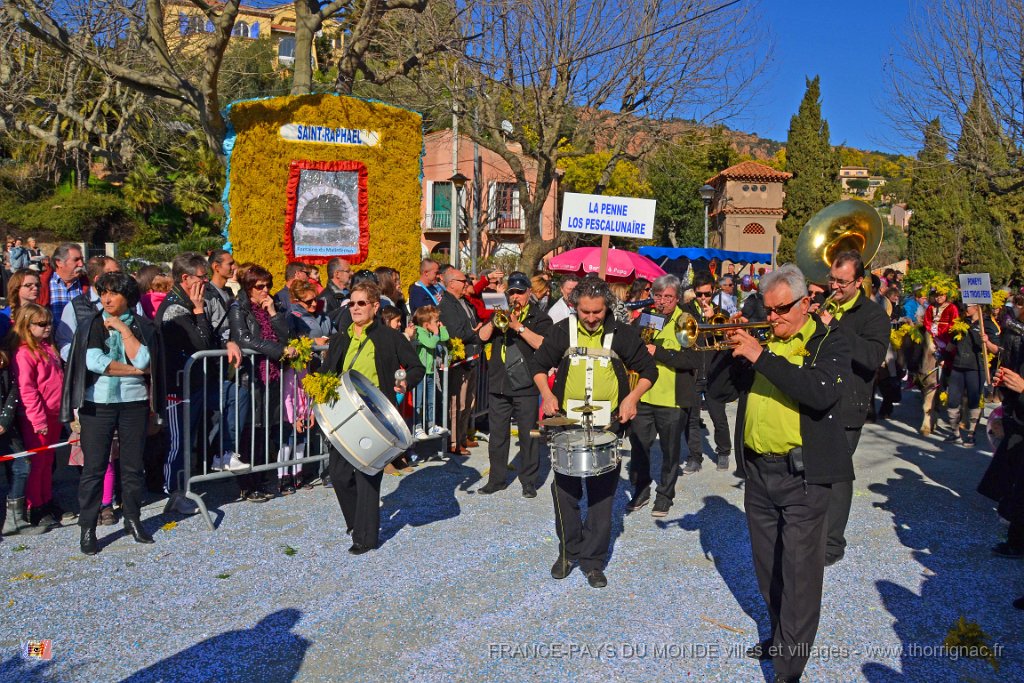 Agay 23 fevrier 2014 43.jpg - Agay - Fête de la fleur - 23 février 2014