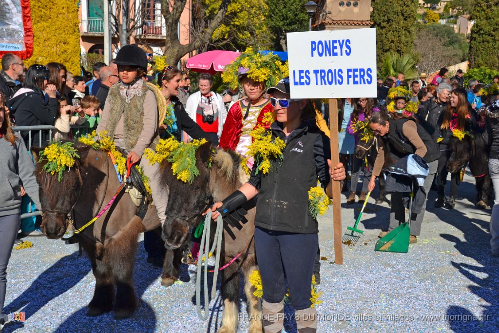 Agay 23 fevrier 2014 45.jpg - Agay - Fête de la fleur - 23 février 2014