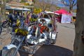 Agay 23 fevrier 2014 13