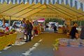 Agay 23 fevrier 2014 4