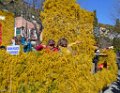Agay 23 fevrier 2014 40
