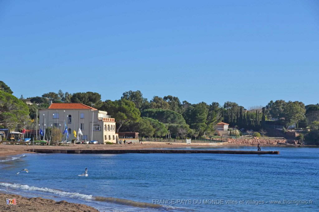 Agay 26 janvier 2014 13.jpg - Agay le 26 janvier 2014
