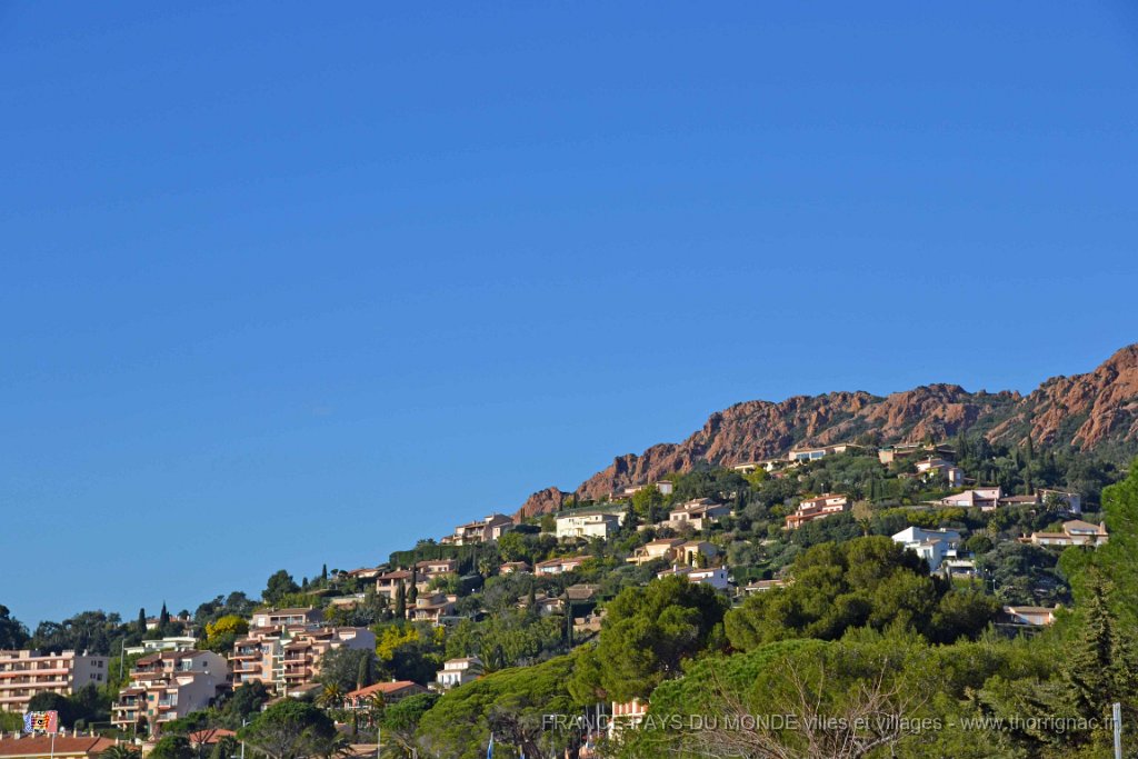 Agay 26 janvier 2014 19.jpg - Agay le 26 janvier 2014