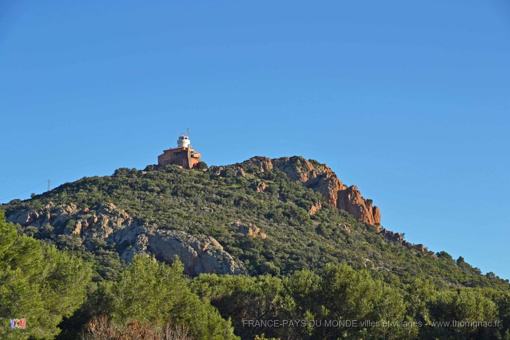 Agay 26 janvier 2014 26.jpg - Agay le 26 janvier 2014 - Le Dramont