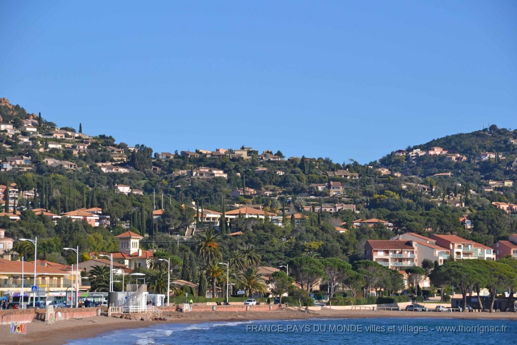 Agay 26 janvier 2014 5.jpg - Agay le 26 janvier 2014
