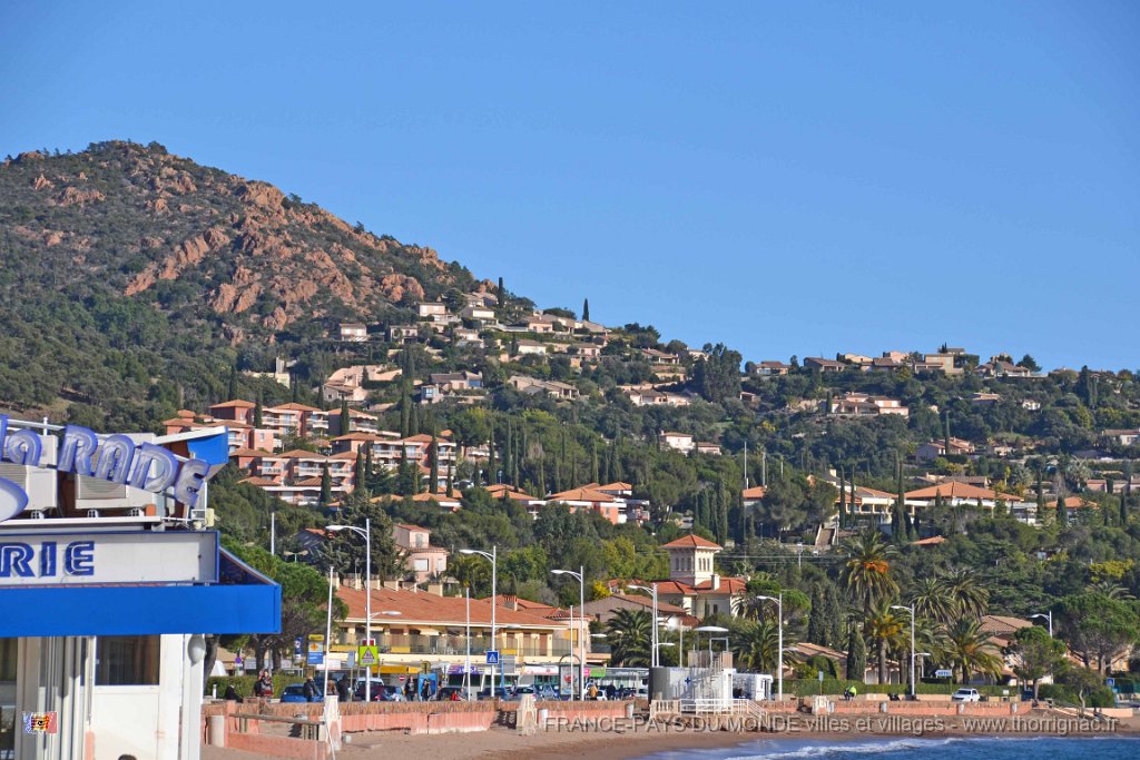 Agay 26 janvier 2014 6.jpg - Agay le 26 janvier 2014