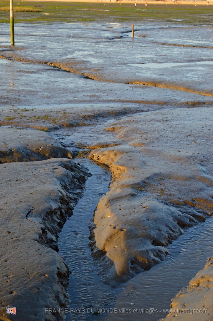 DSC0058.JPG - Andernos - 33 - Chenaux à marée basse - Octobre 2014