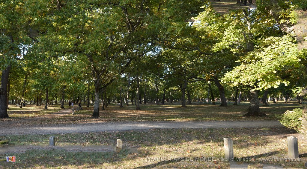 Panorama foret.jpg - Andernos - 33 - Parc très arboré - Octobre 2014